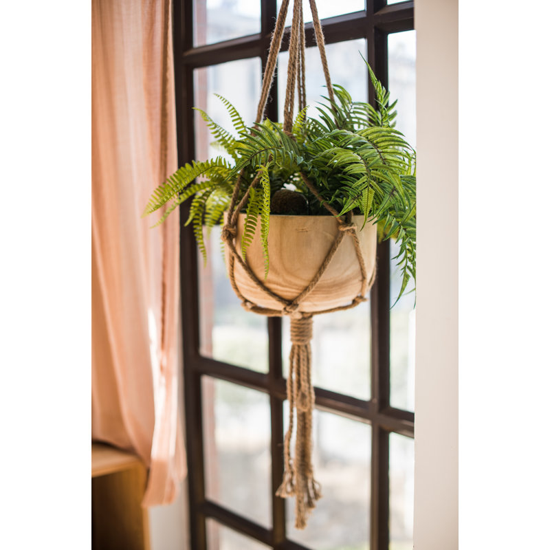 Grande plante artificielle à grande roche