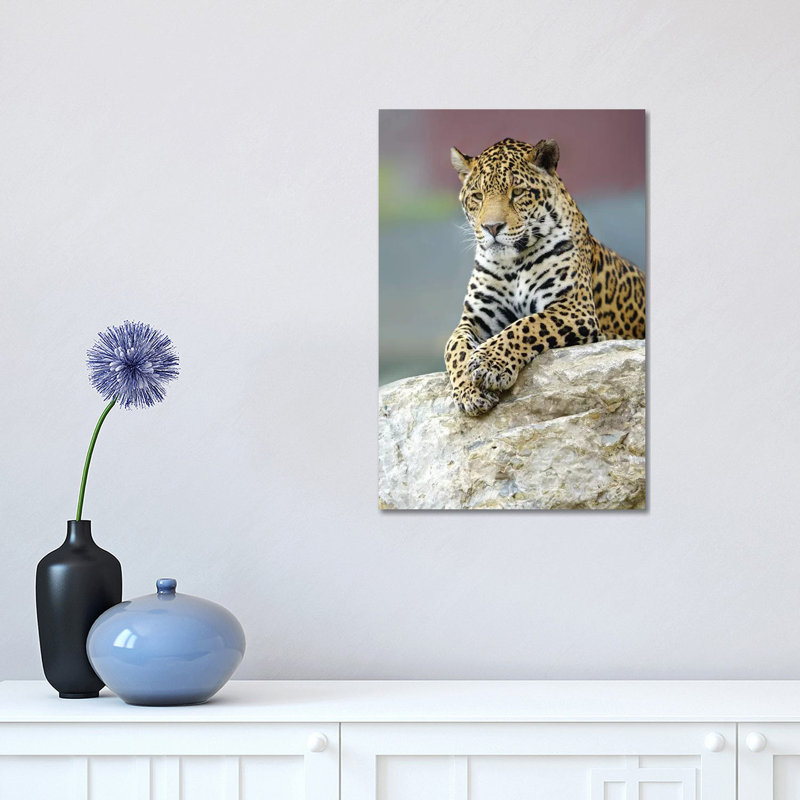 Jaguar III by Goran Anastasovski - Wrapped Canvas Print, 30.48 cm H x 45.72 cm W