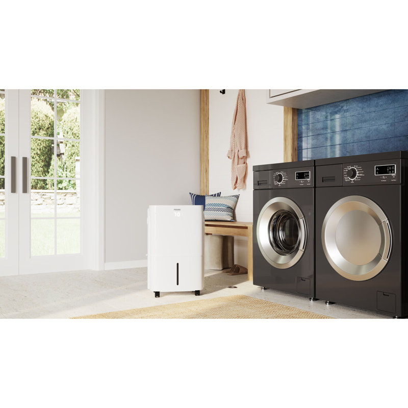 White Energy Star 50 Pint Dehumidifier with Built-In Pump