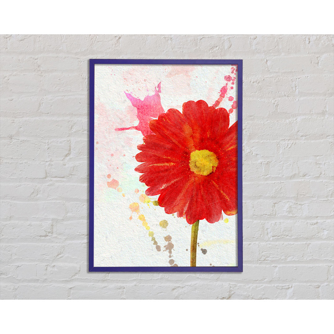 Gerbera Splash - Einzelner Bilderrahmen Kunstdrucke