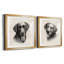 «Charcoal Labrador I», ensemble de 2 peintures encadrées-244631987-244631985
