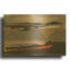 « Ceide Study II » de Grainne Dowling, tableau mural en métal doré, 61 x 41 cm-133656522