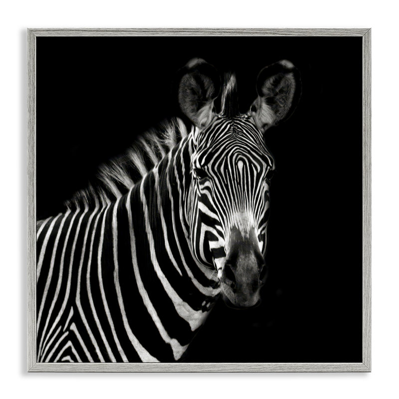 «Jungle Zebra Portrait», art numérique par Susan Bryant, Estampe numérique Farmhouse, H 17 po x l 17 po