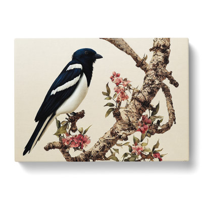 Magpie Bird Watercolour Vol.1 - Wrapped Canvas