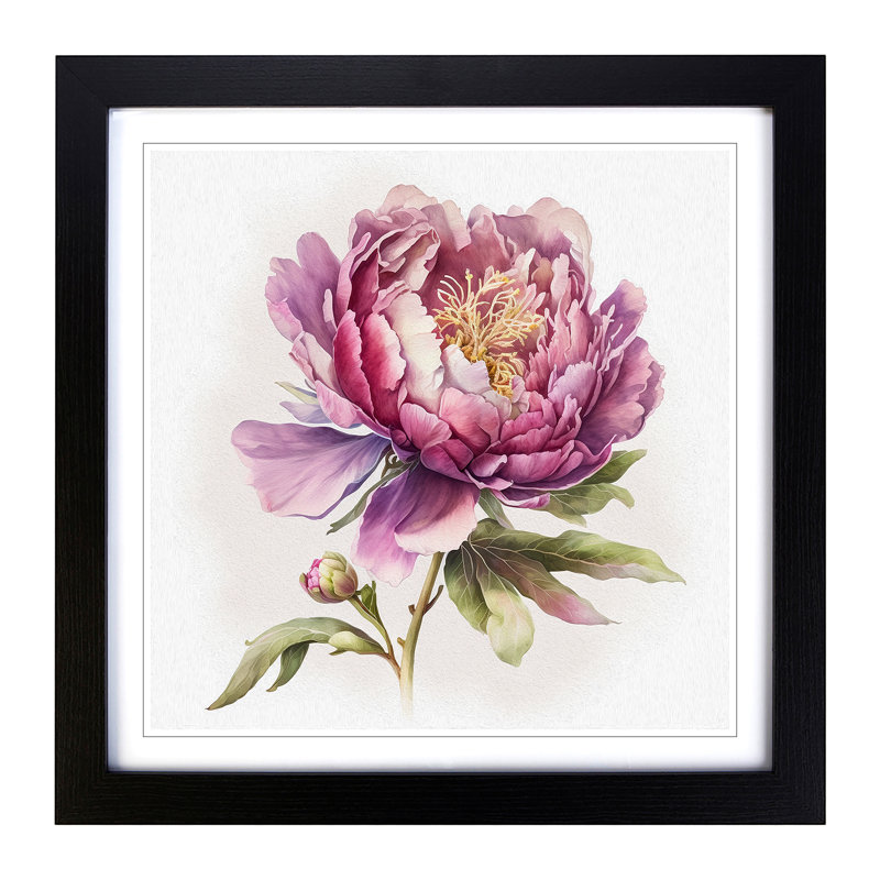 Peony Flower Watercolour - Framed Print, Black