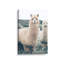 Impression sur toile Alpaca Charm-798769075-798769085