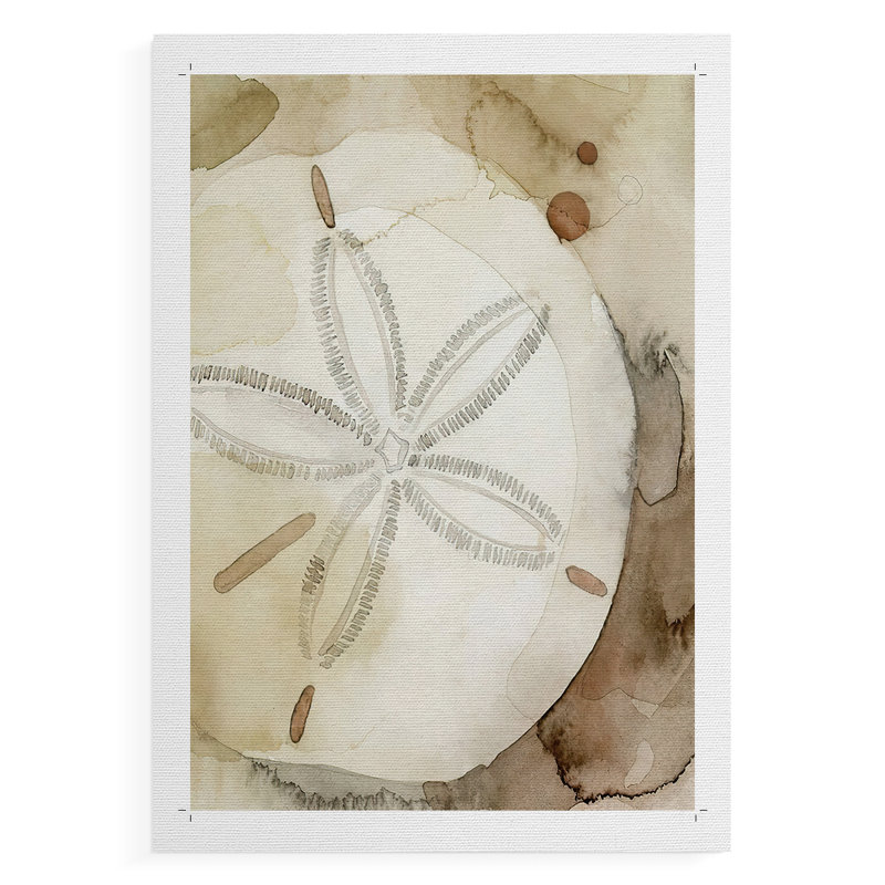 Dry Sand Dollar I - Impression sur toile seulement - NON-CADRE