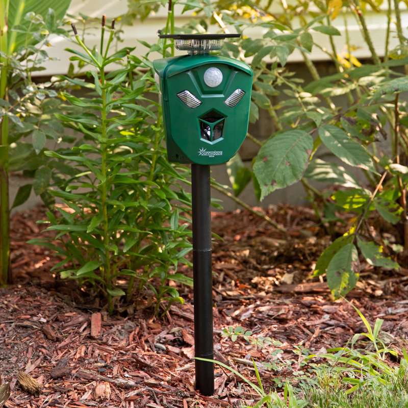 360-Degree Solar Ultrasonic Animal Repeller with Mounting Pole