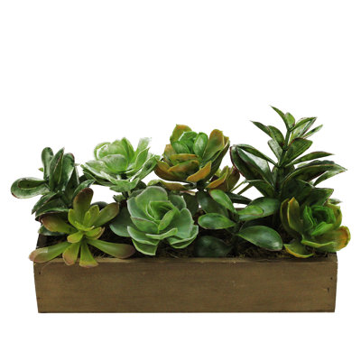 11.5" Artificial Mixed Succulent Plants in a Wooden Planter Box