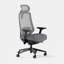 Ergonomic Pro Headrest-912857437