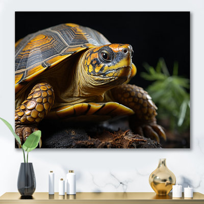 " Closeup Turtle Portrait I "
