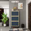Range-chaussures 3 portes en métal, armoire de rangement pour chaussures autoportante moderne, rotin en métal, pour vestibule