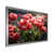 Silver Picture Framed