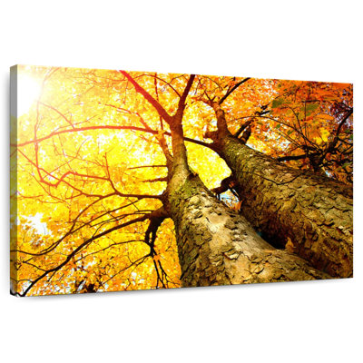 Alvord Golden Fall Scenery