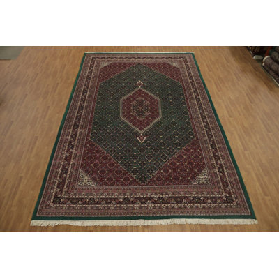 Traditional Oriental Oriental Large Rug 11x18