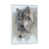 White Floater Framed Canvas