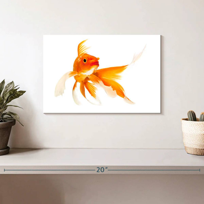 Goldfish