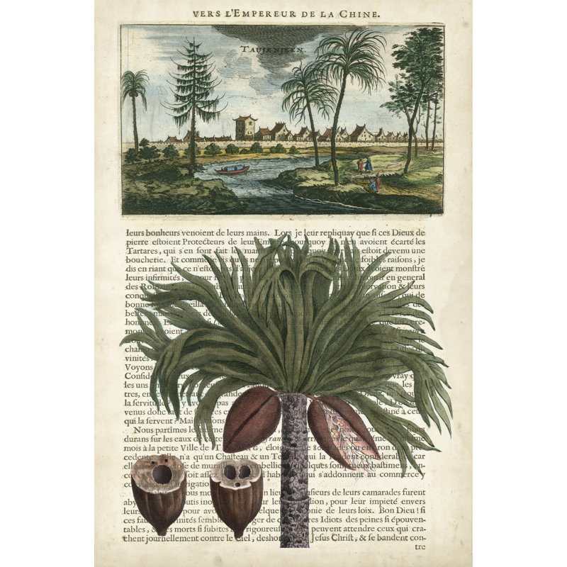Journal of the Tropics IV -  Graphic Art, 46 cm H x 30 cm W, Black Floater Frame