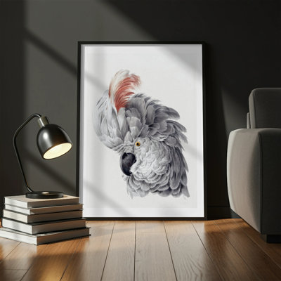 Sanjuana Print