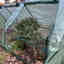 Photos des clients 4 de 4