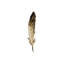 Fall Feathers VI Painting by Elena Carlie-26950595-26950590