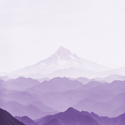 Wanderlust mauve