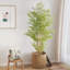 Faux Bonsai Plant in Freestanding-129743092