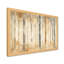 Tableau encadré en bouleau brun, noir et beige II - Tableau d'arbre-1707487028-1790401262