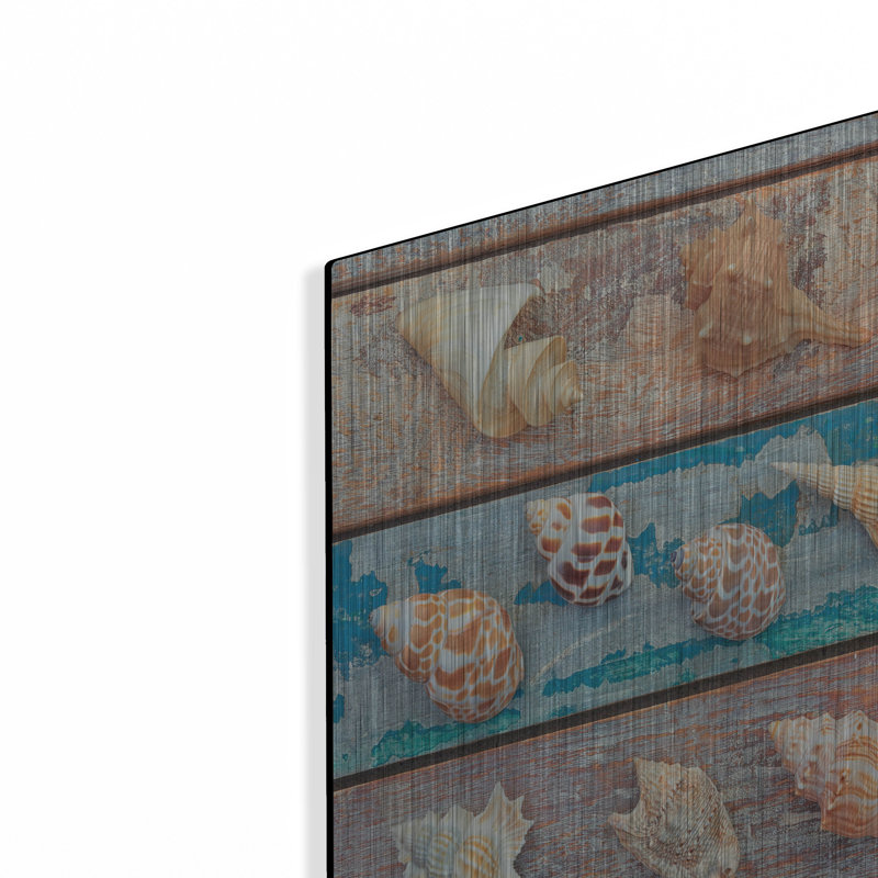 «Sea Snail Shells» par Cora Niele, H 12 po x l 16 po