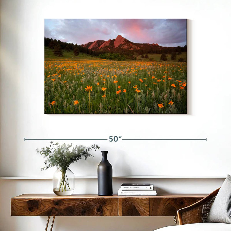 Champ de fleurs Chautauqua Park, H 26 po x l 39 po
