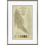 Lichen Studies, John Peter Westring, 1808 Giclee Print by Paul Cezanne