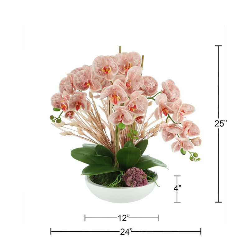 Orchids Arranged in Fiberstone Planter