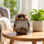 Pot de rangement en métal en forme de hibou, style vintage, avec éclairage souterrain, en fer forgé, pour pièces de monnaie. Décoration et ornements pour la maison.
