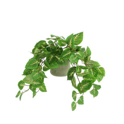 7.5'' Artificial Foliage Plant in Pot