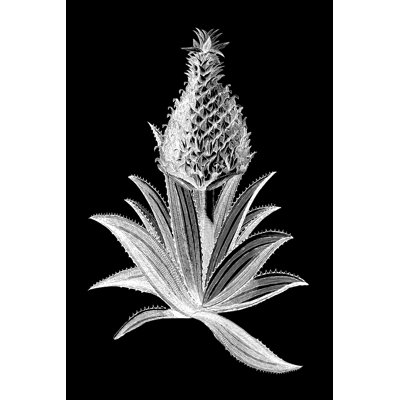 Ananas noir I