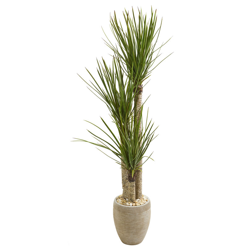 64'' Faux Yucca Tree in Earthenware Pot