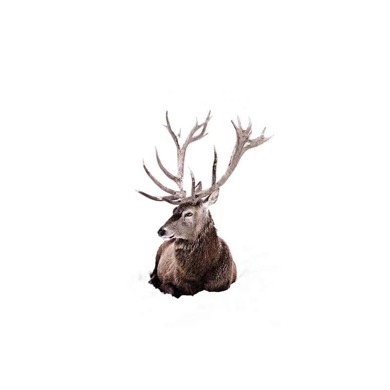 Stag In Snow II by Monika Strigel - Wrapped Canvas Print, 20.32 cm H x 30.48 cm W