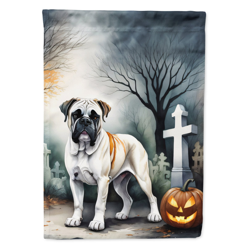 Drapeau de maison d'Halloween en polyester à double face H 40 po x l 28 po