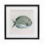 «Coastal Bliss Fish», reproduction sous verre encadrée, design par Danhui Nai-2098003339-2098003338