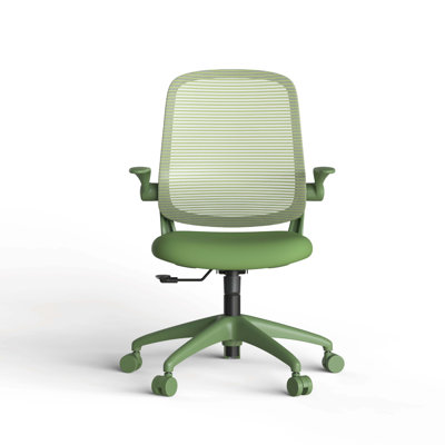Ergonomic Colorful Office Chair 350LBS Home Office Mesh Breathable High Back, With Adjustable Lumbar Support Computer Chair, Integrated Molded Foam Se