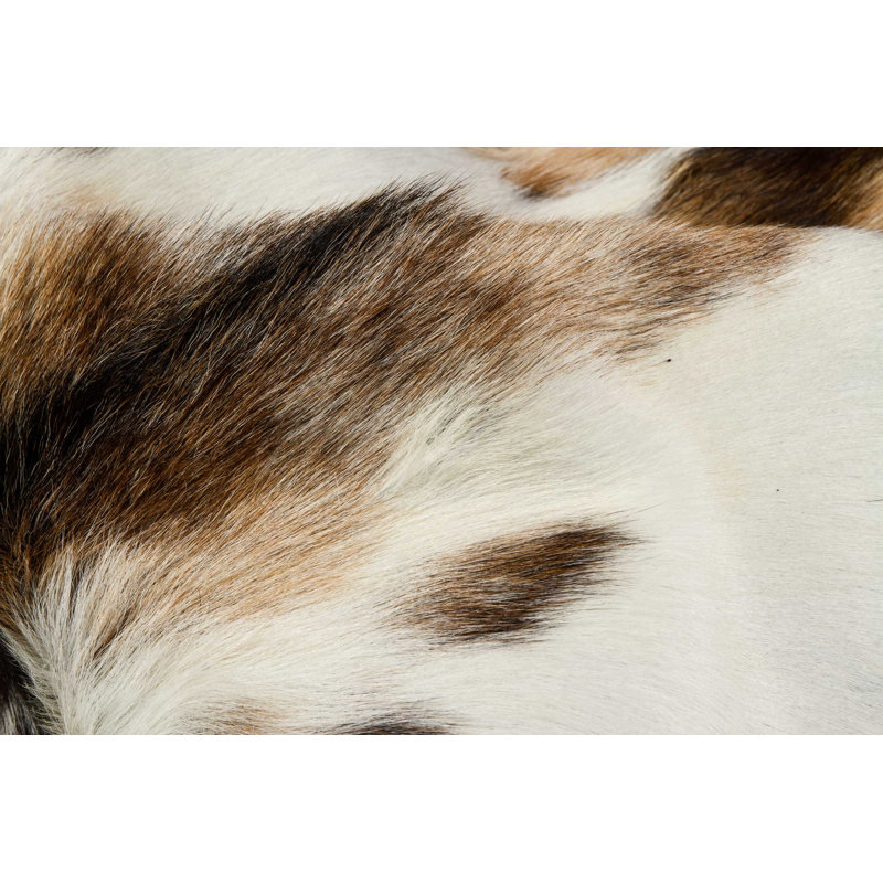 Tapis blanc calfskin vache Westborough