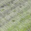 Tapis intérieur / extérieur lavable à la machine Emelia ACN2315-153647291
