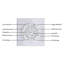 Ventilateurs de plafond de 72 pouces sans lumière avec télécommande, 8 pales réversibles, moteur à courant continu silencieux, fonction minuterie, ventilateur de plafond industriel à 6 vitesses pour la cuisine de la chambre à coucher