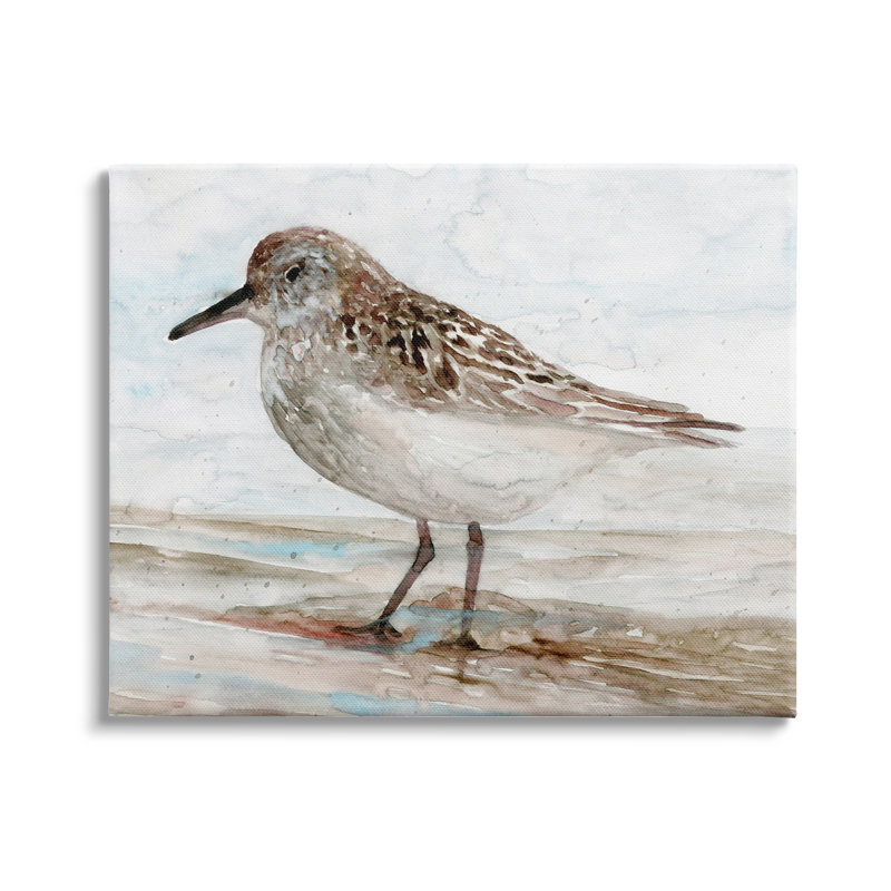 «Sandpiper», toile de plage mouchetée par des oiseaux de la côte nautique sur toile tendue par Stellar Design Studio