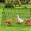 Chicken Run-1053950142