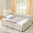 Daybed With USB Charging, Twin Size Pull-Out Extendable Bed, Button Back, And Copper Nail Waved Shape Arms For Modern Comfort-1466194050-1466194052