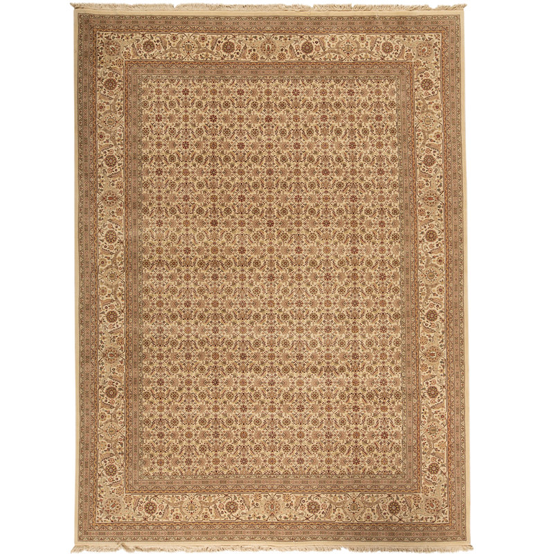 Wool Oriental Area Rug in Ivory