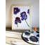 Plants & Flowers-6295199