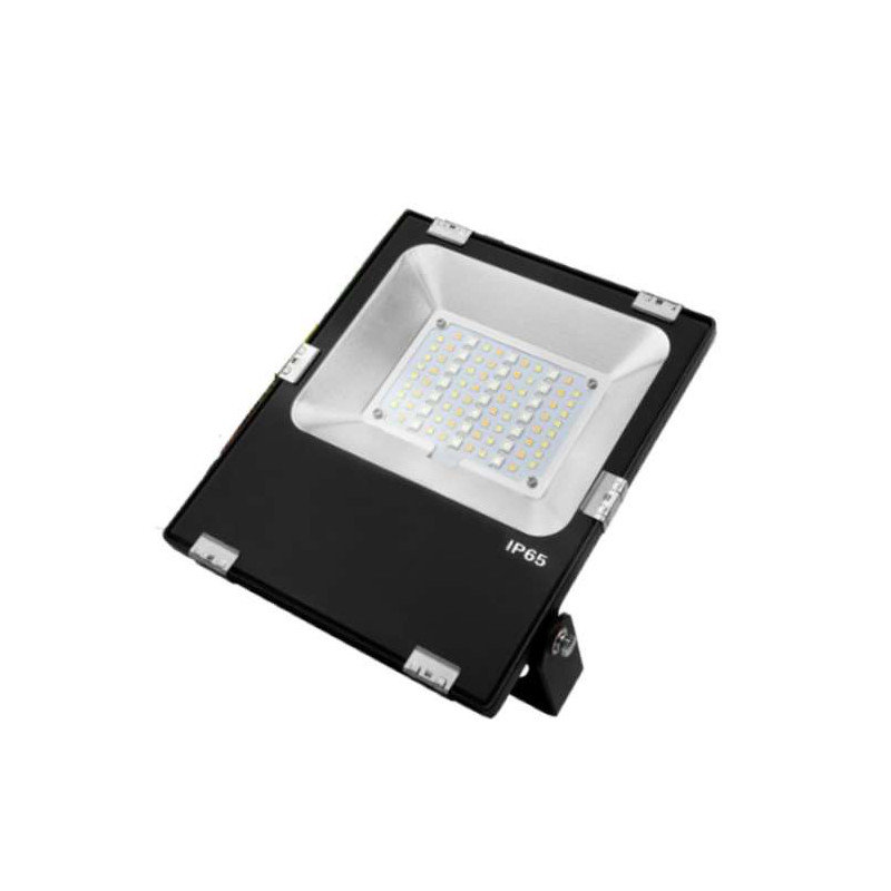 Canizales Ultra-Flat Flood Light