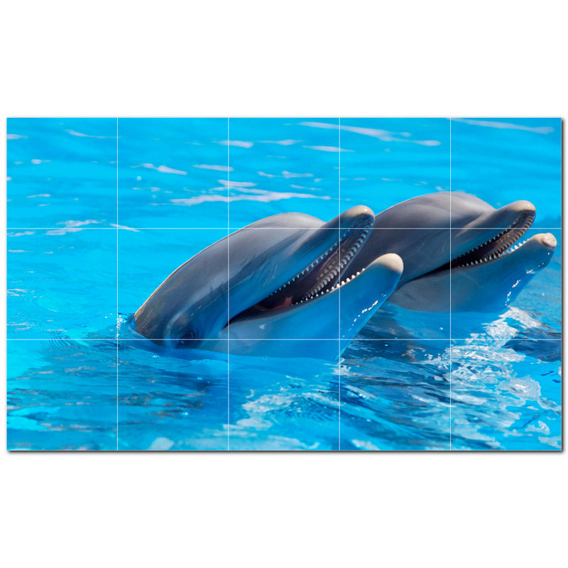 Dolphin Photo 12'' x 12''